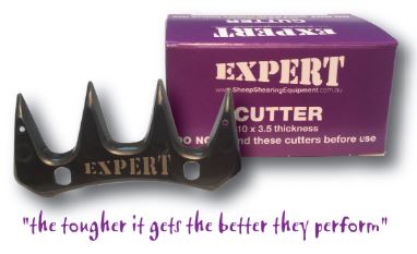 Expert Cutter